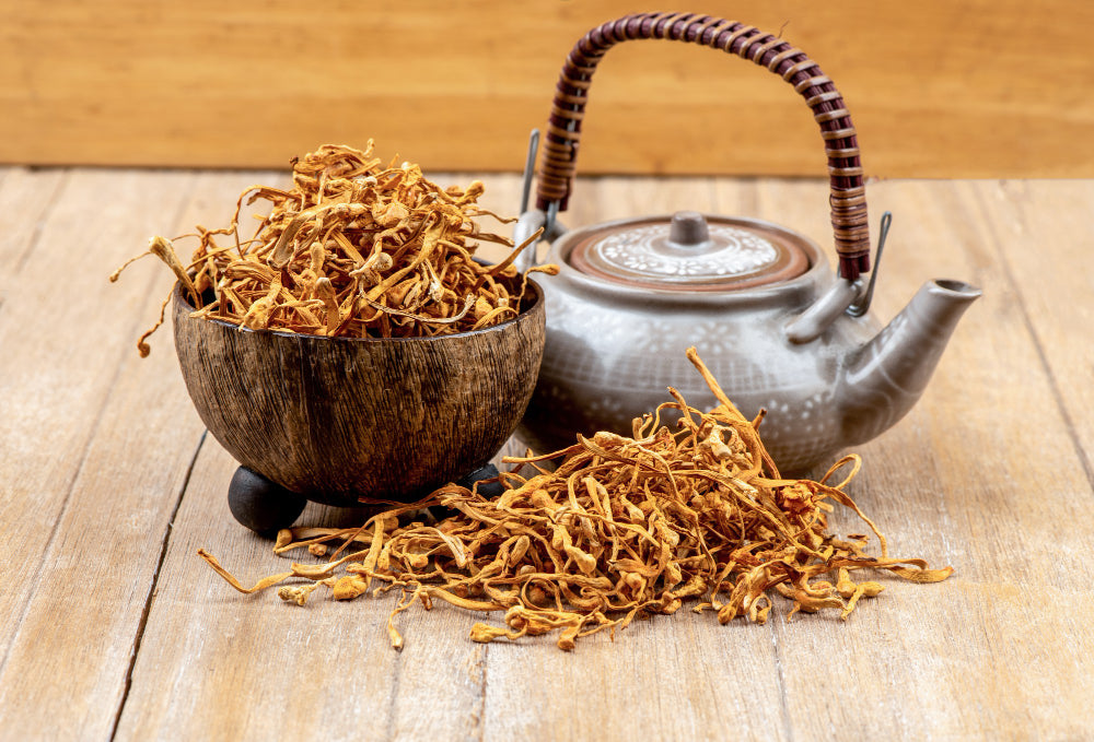 Pilzpower - wieso Cordyceps?