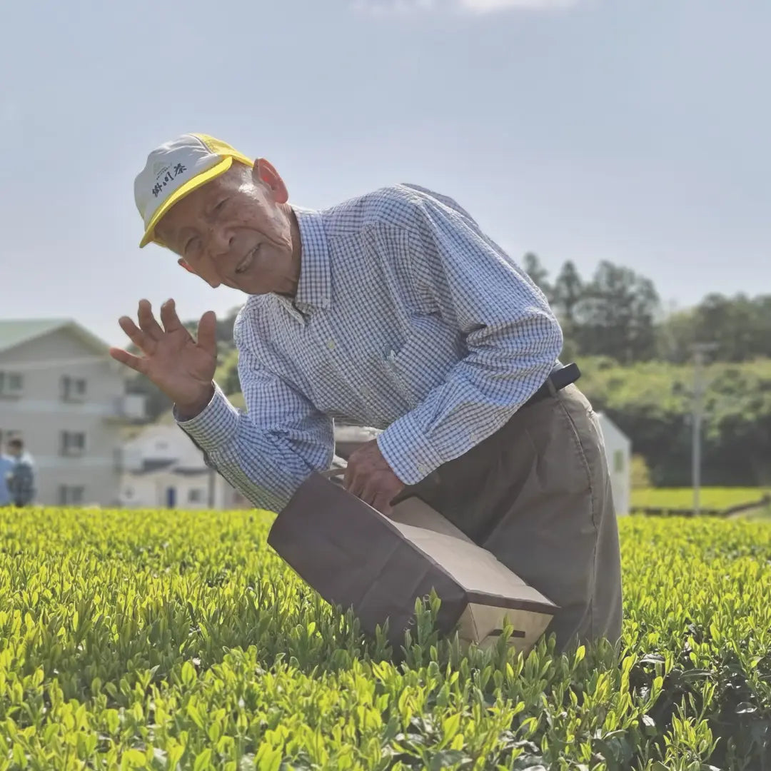 Bio Premium Isagawa Sencha
