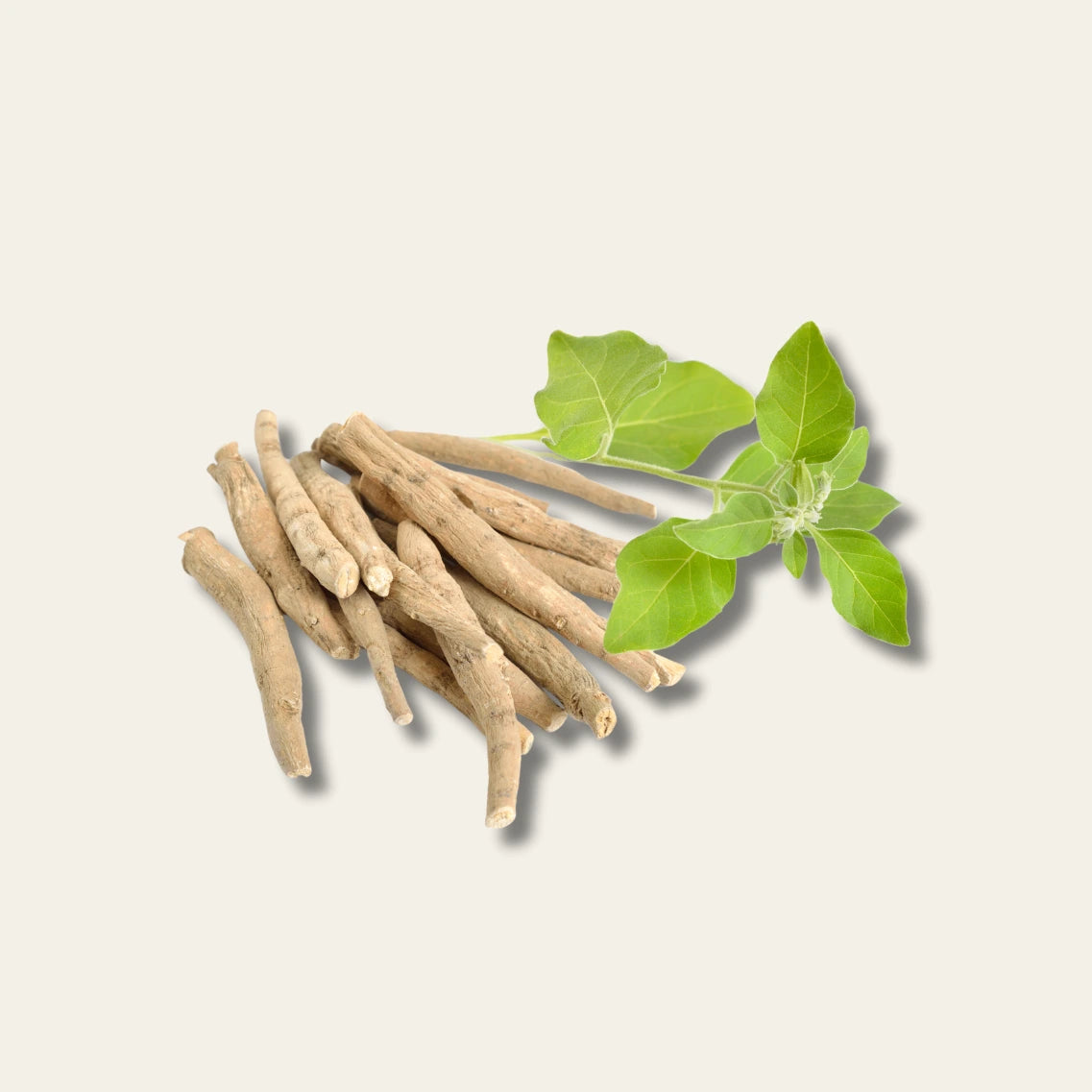 Ashwagandhawurzel