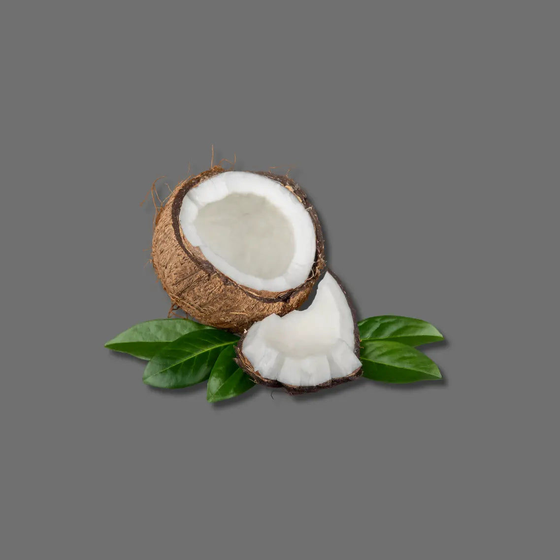 Bio Kokos Würzsauce