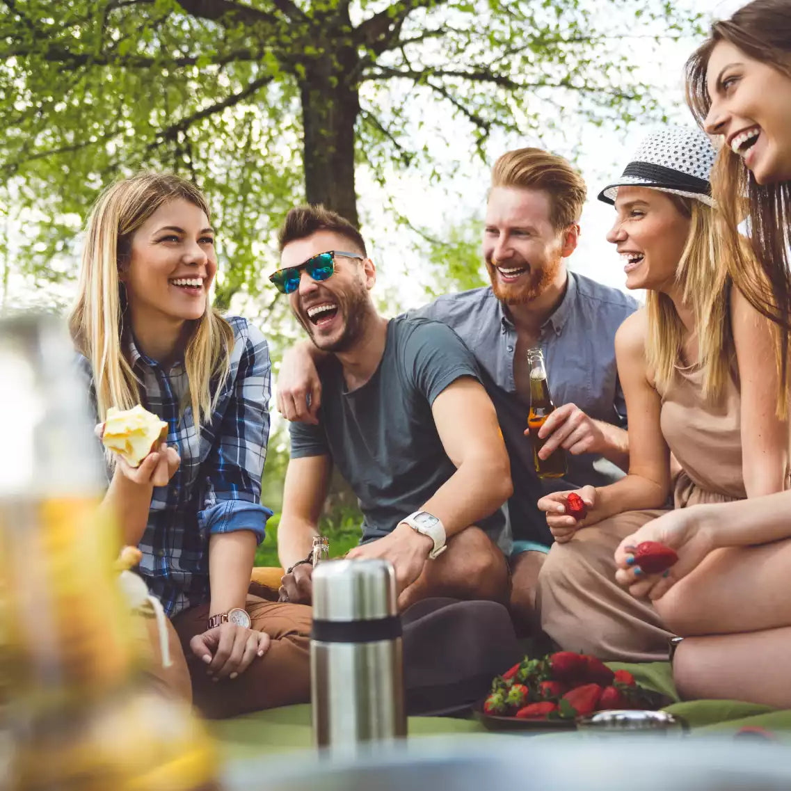 Lachende Freunde die picknicken im Park