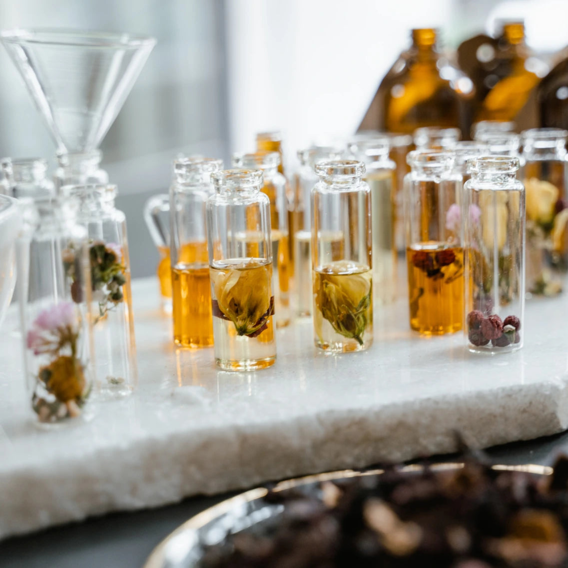 Eingelegte Proben von Knospen in Glasfläschchen