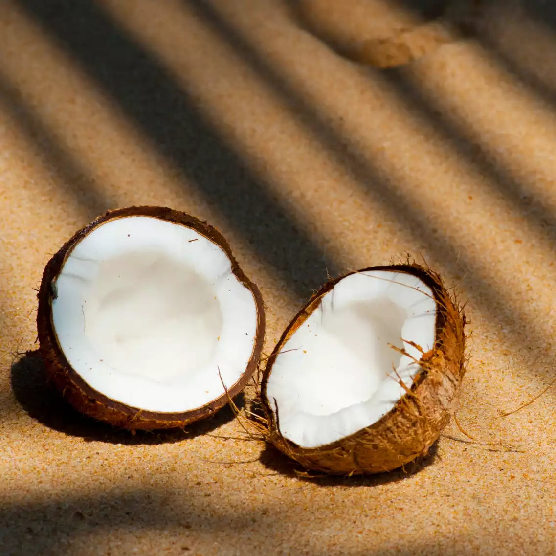 Gespaltene Kokosnuss im Sand