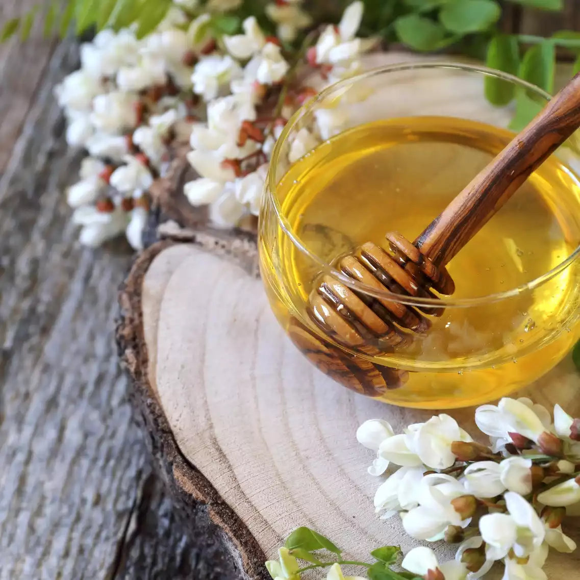 Glas mit Honig und Honiglöffel auf Baumstumpf mit Akazienblüten