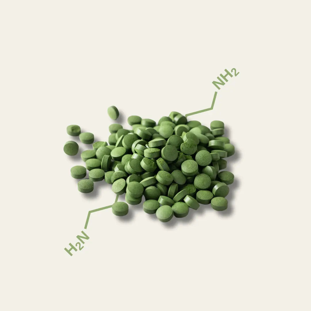 Spermidin Chlorella