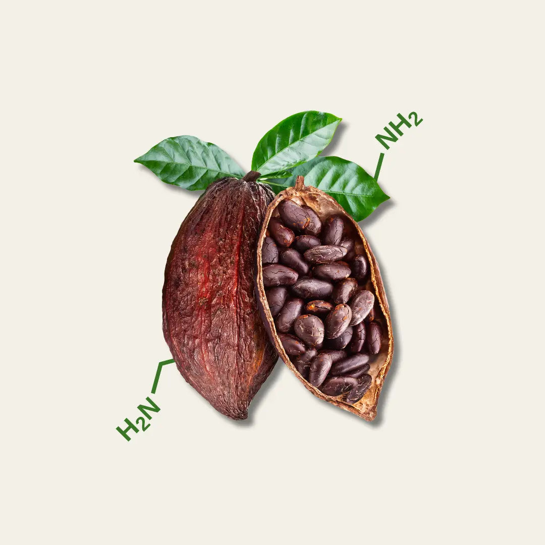 Spermidin Forte - Kakao Flavanol