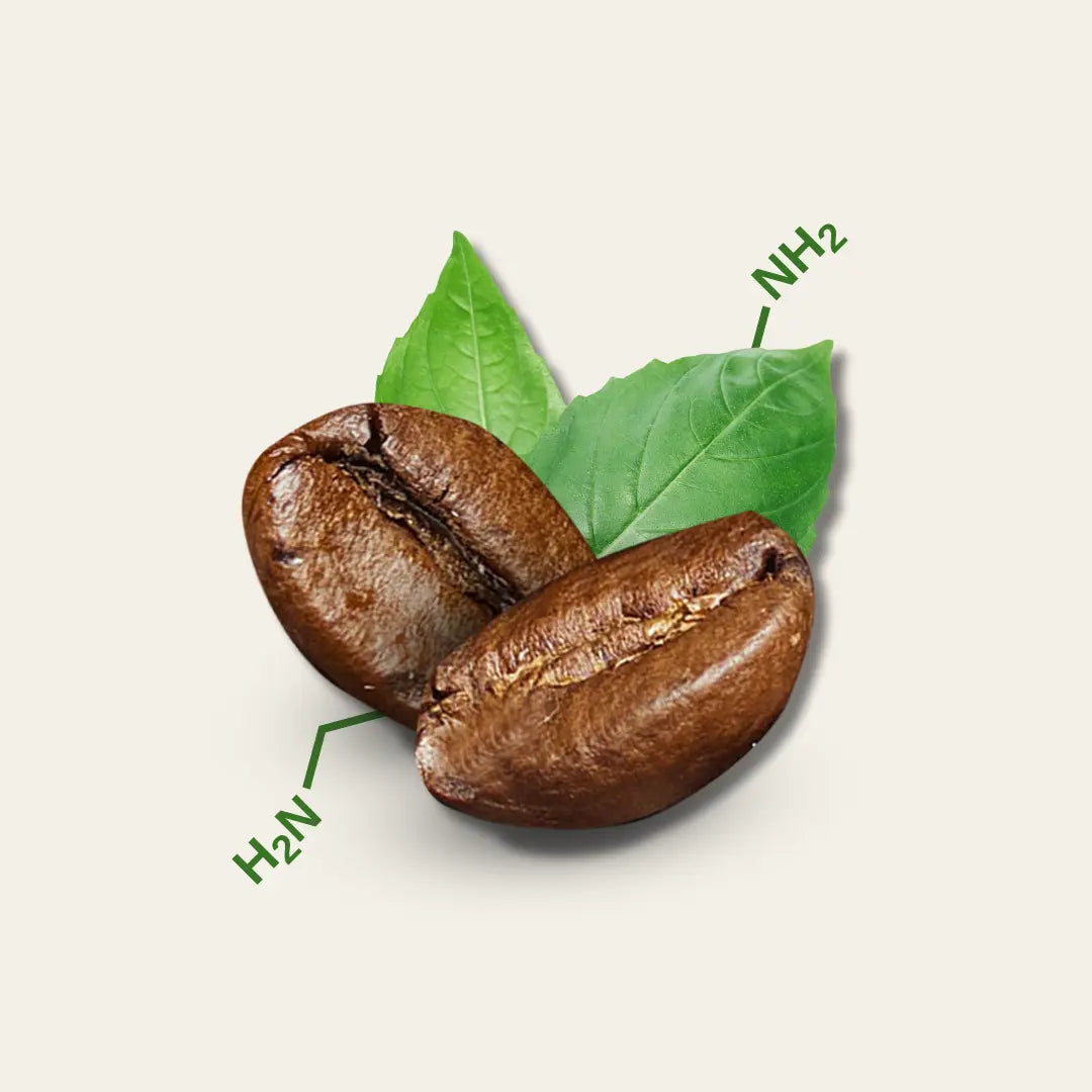 Spermidin Forte - Kaffee Plus