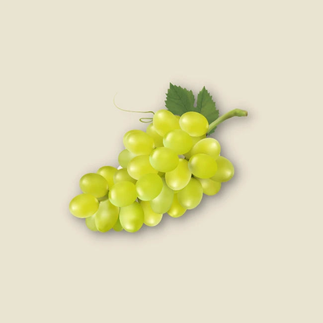 Grüne Trauben