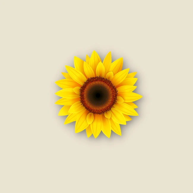 Sonnenblumenblüte