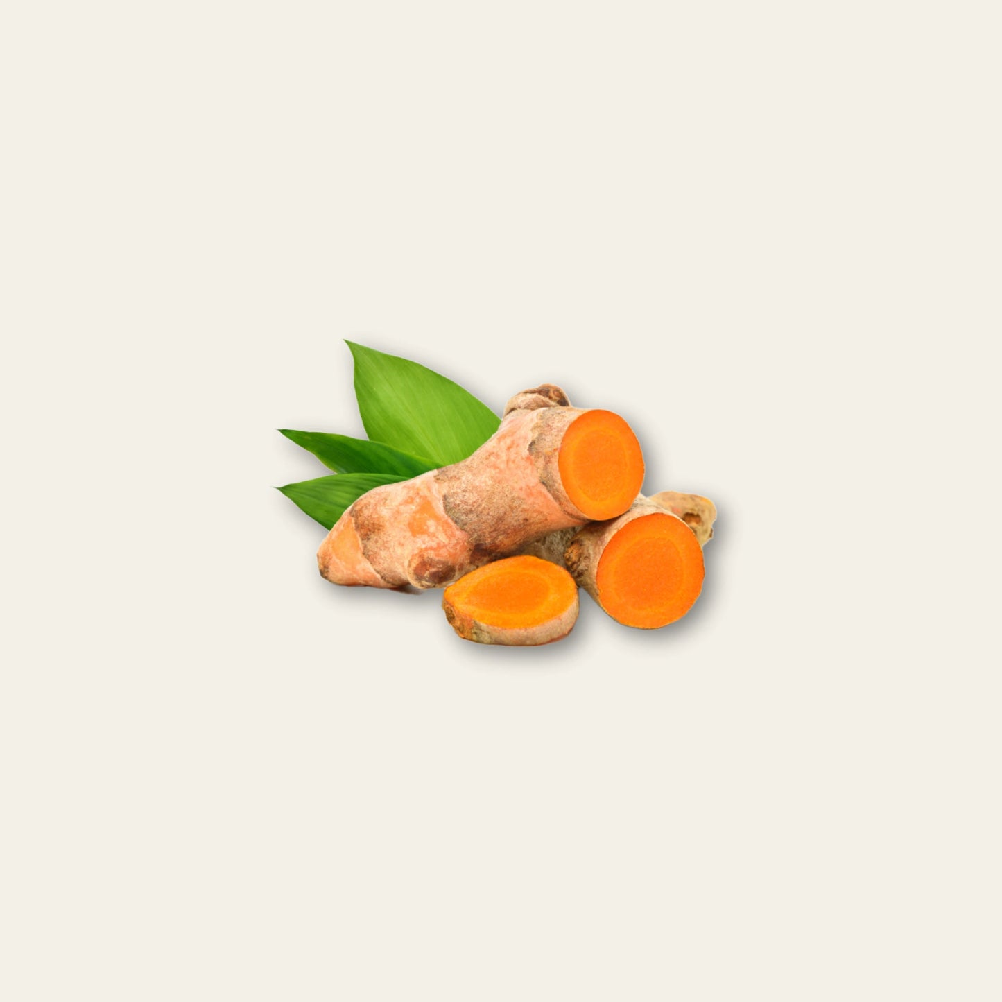 Bio Curcuma mit Ingwer und Piperin
