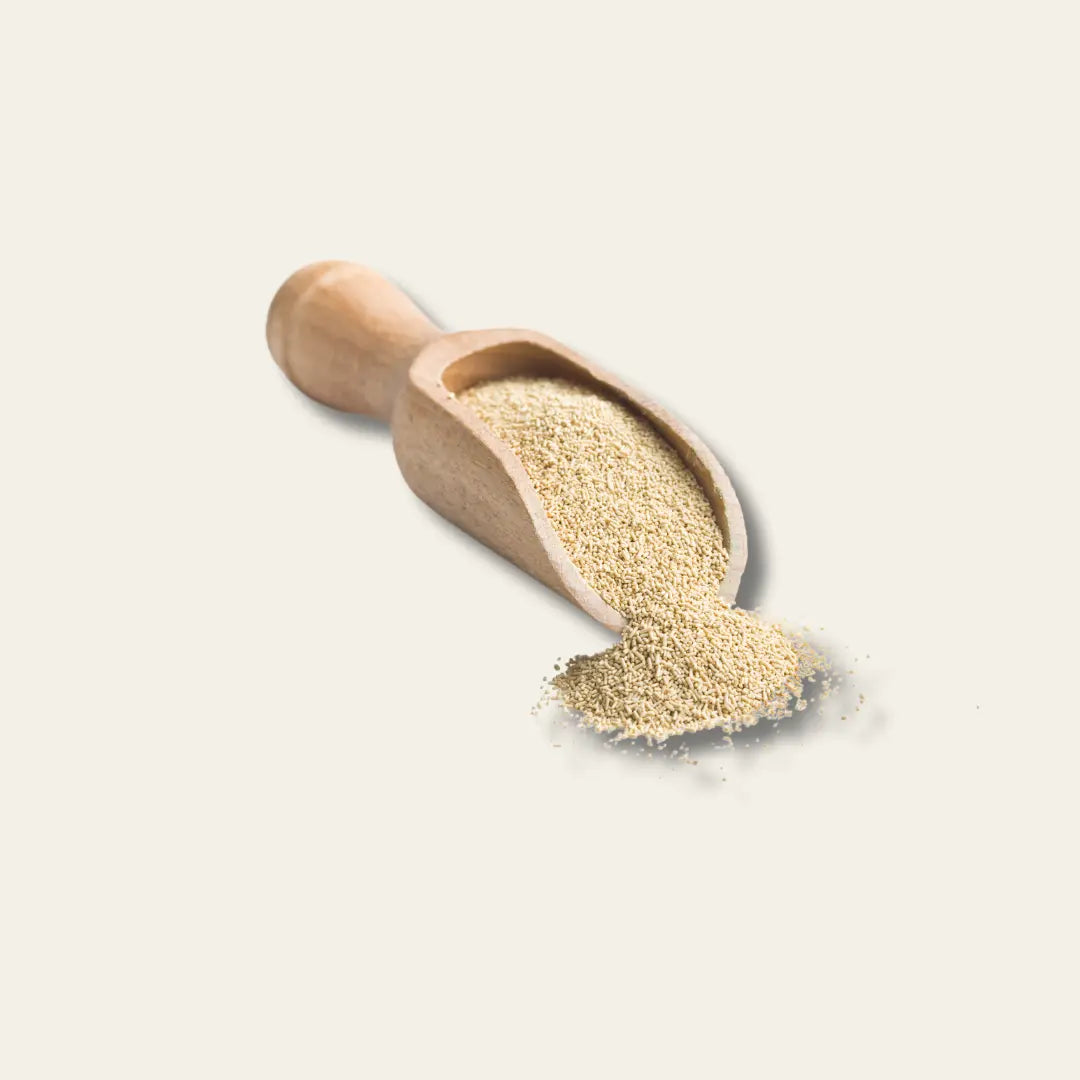 Coenzym Q10 Ubiquinol