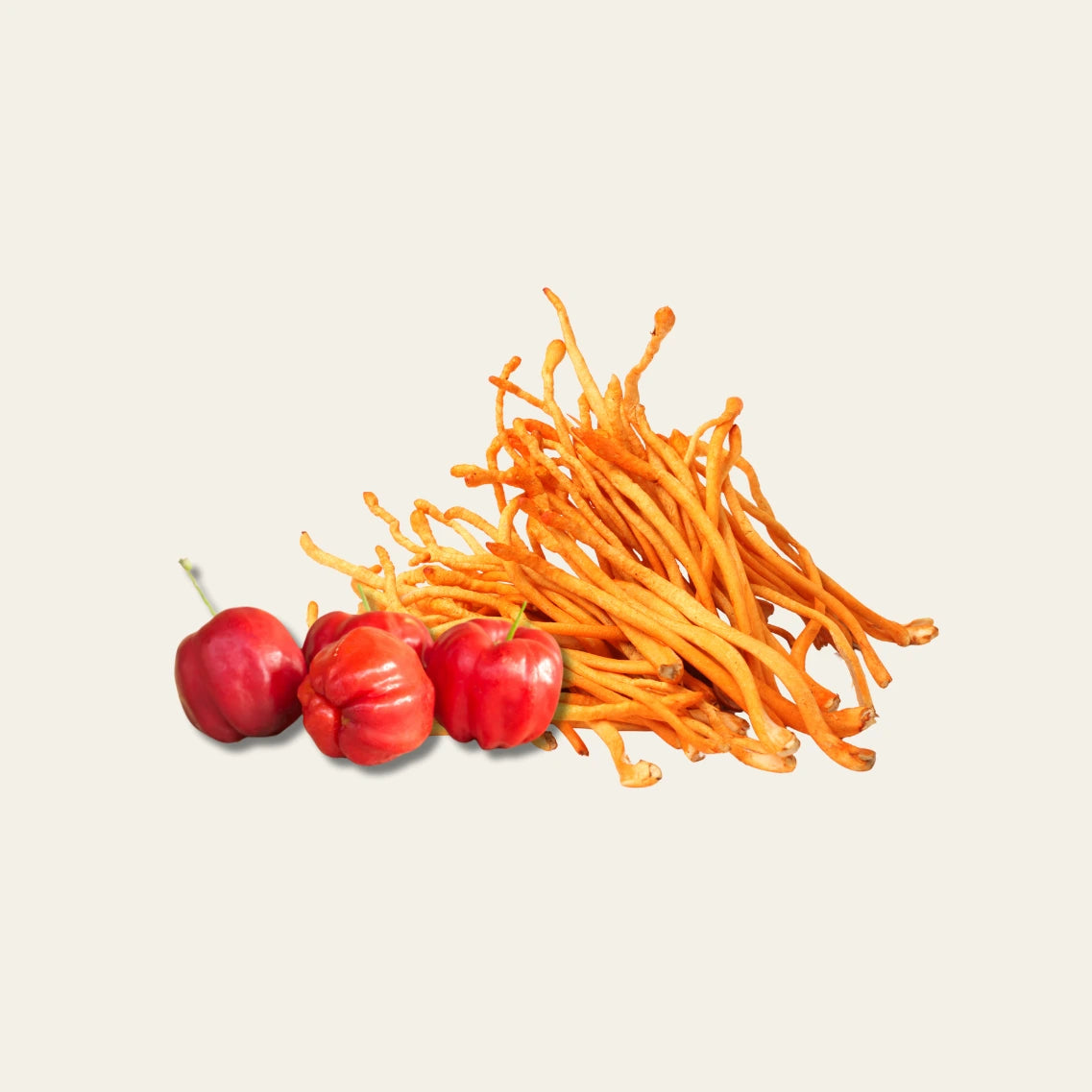 Abbildung von roten Paprikas und Cordyceps