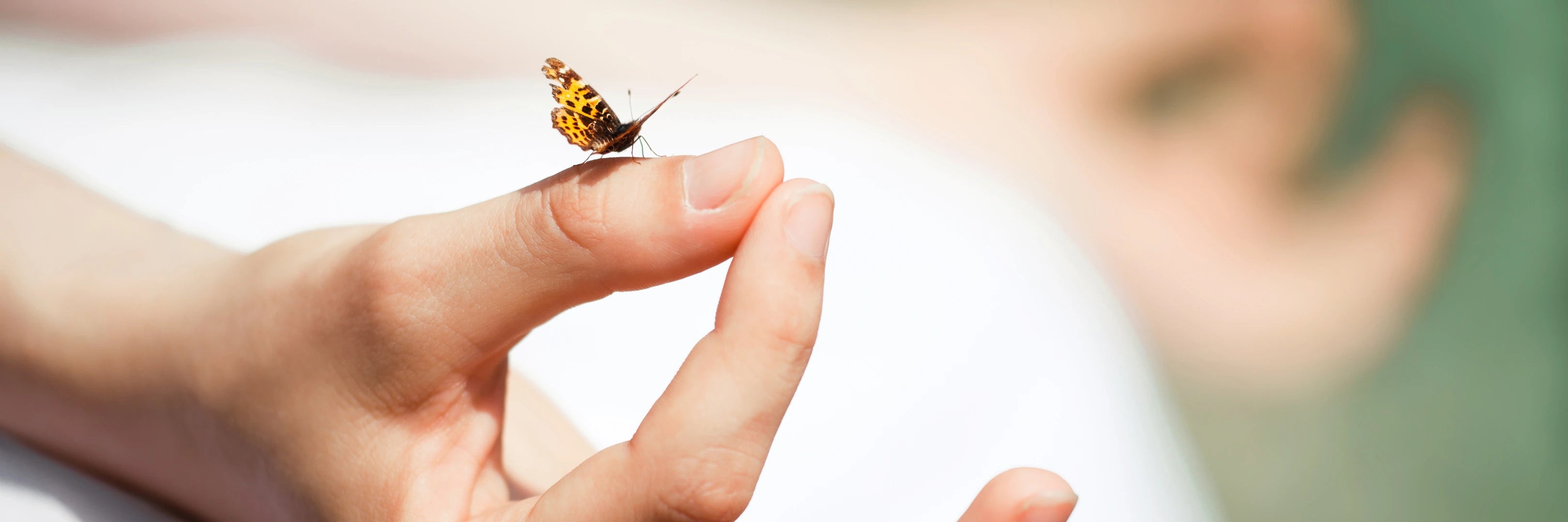 Nahaufnahme einer Hand mit Schmetterling auf dem Daumen