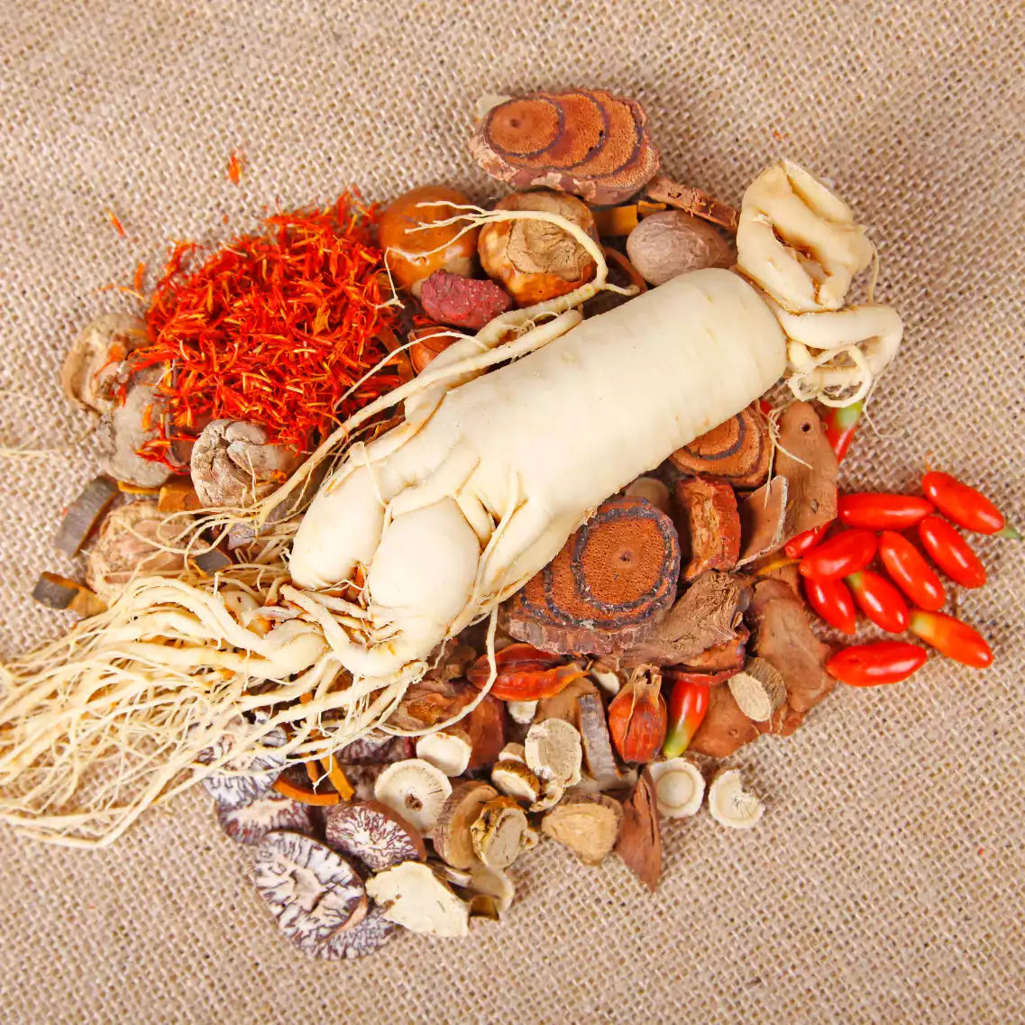Verschiedene chinesische Pflanzenwurzeln und Früchte angehäuft