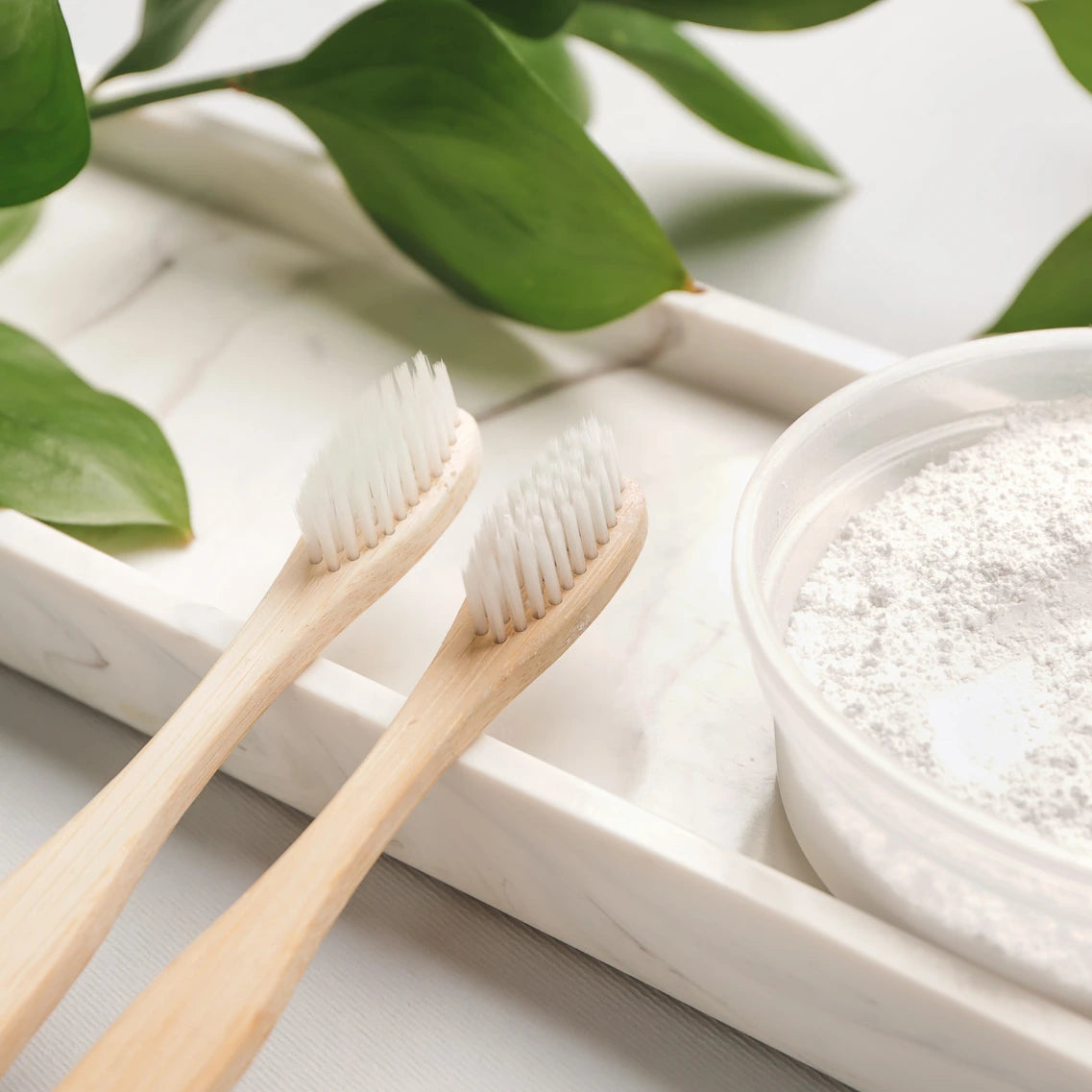 Zwei Handzahnbürsten mit kleiner Schale voll Pulver