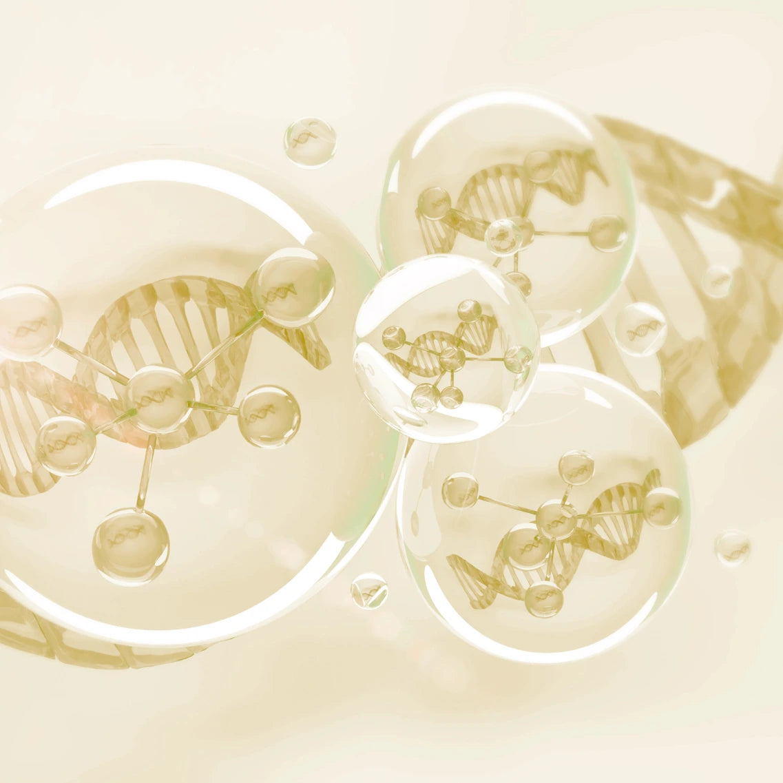 Zellen mit DNA und Molekülen