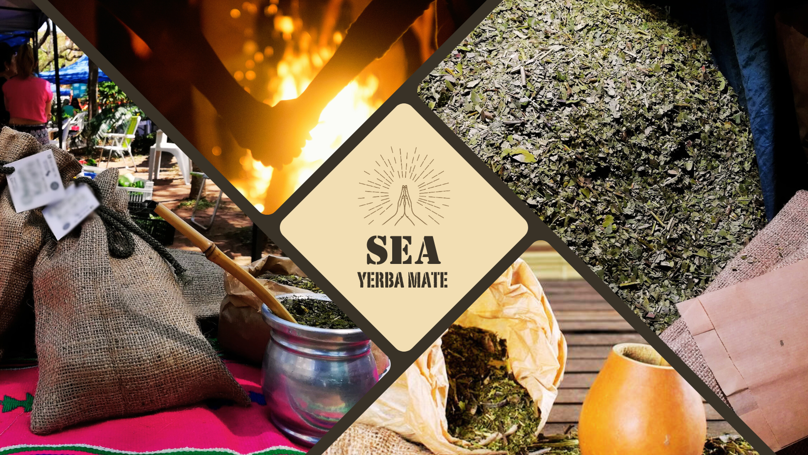 SEA YERBA MATE Tee – Ein Tee mit Seele und Geschichte