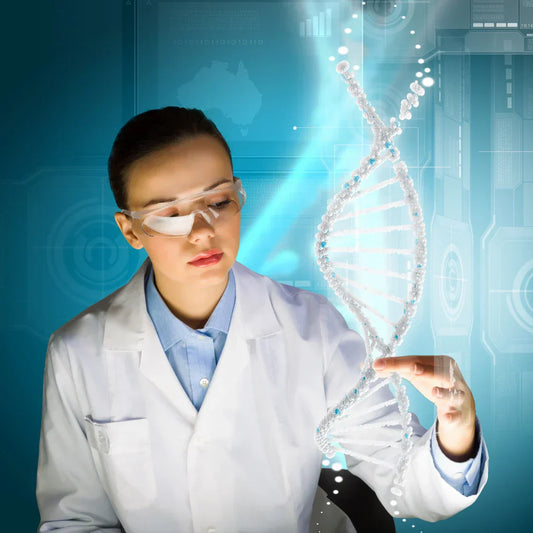 Gezielte Nukleotidversorgung mit gereinigten Nukleotiden im Vergleich zu Hefe-Extrakten