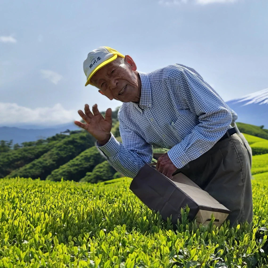 Bio Ceremonial Matcha