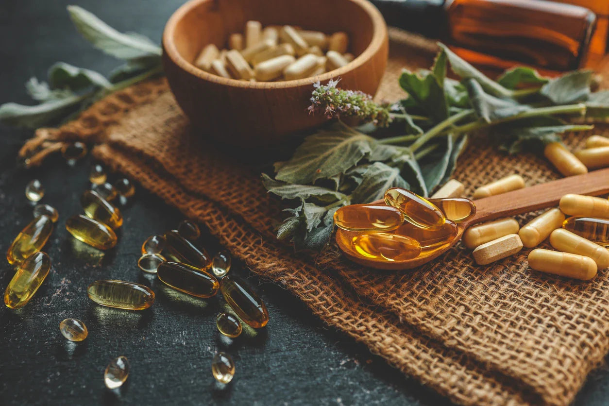 Pflanzensprössling wächst aus Erde im Sonnenschein