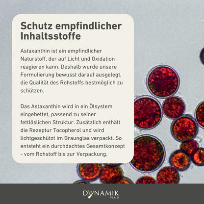 Astaxanthin Liquid