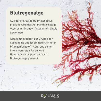 Astaxanthin Tropfen