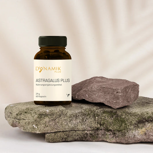 Astragalus Plus