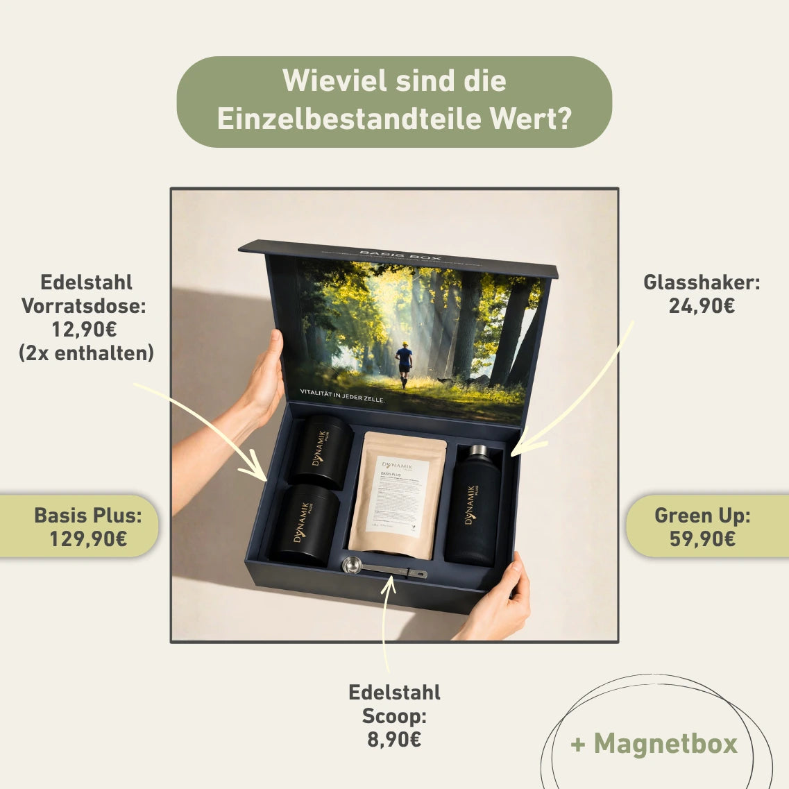 Basis Box Zubehör Glasshaker Vorratsdose Edelstahl Scoop Messlöffel Magnetbox