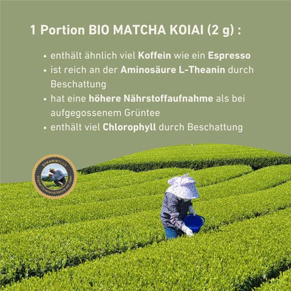 Infografik mit 4 Stichpunkten über den Bio Matcha Koiai