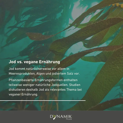 Jod Forte - Bio Kelp