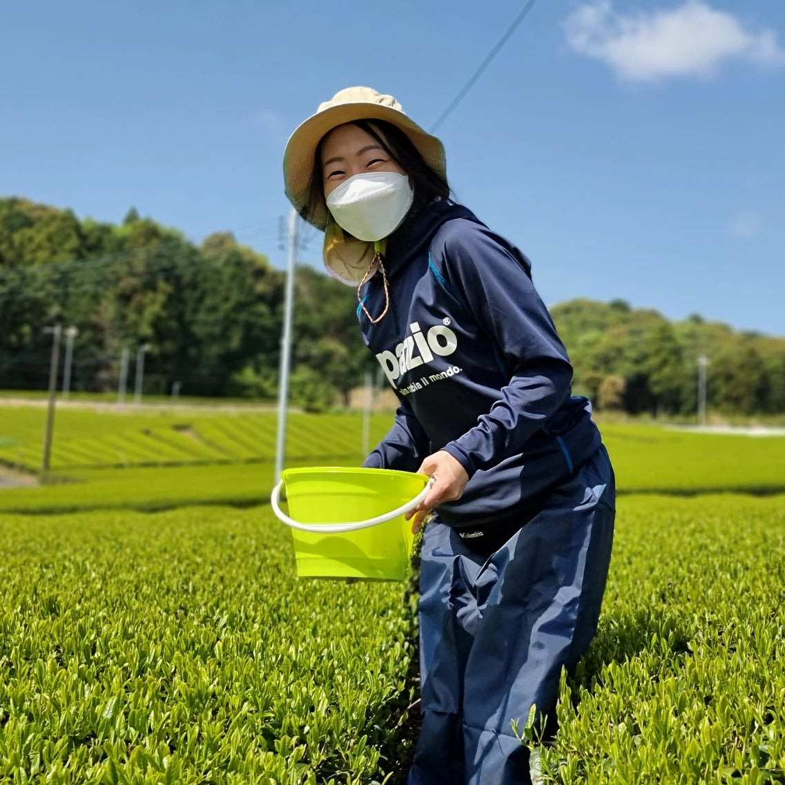 Glückliche Frau auf Matcha Feld