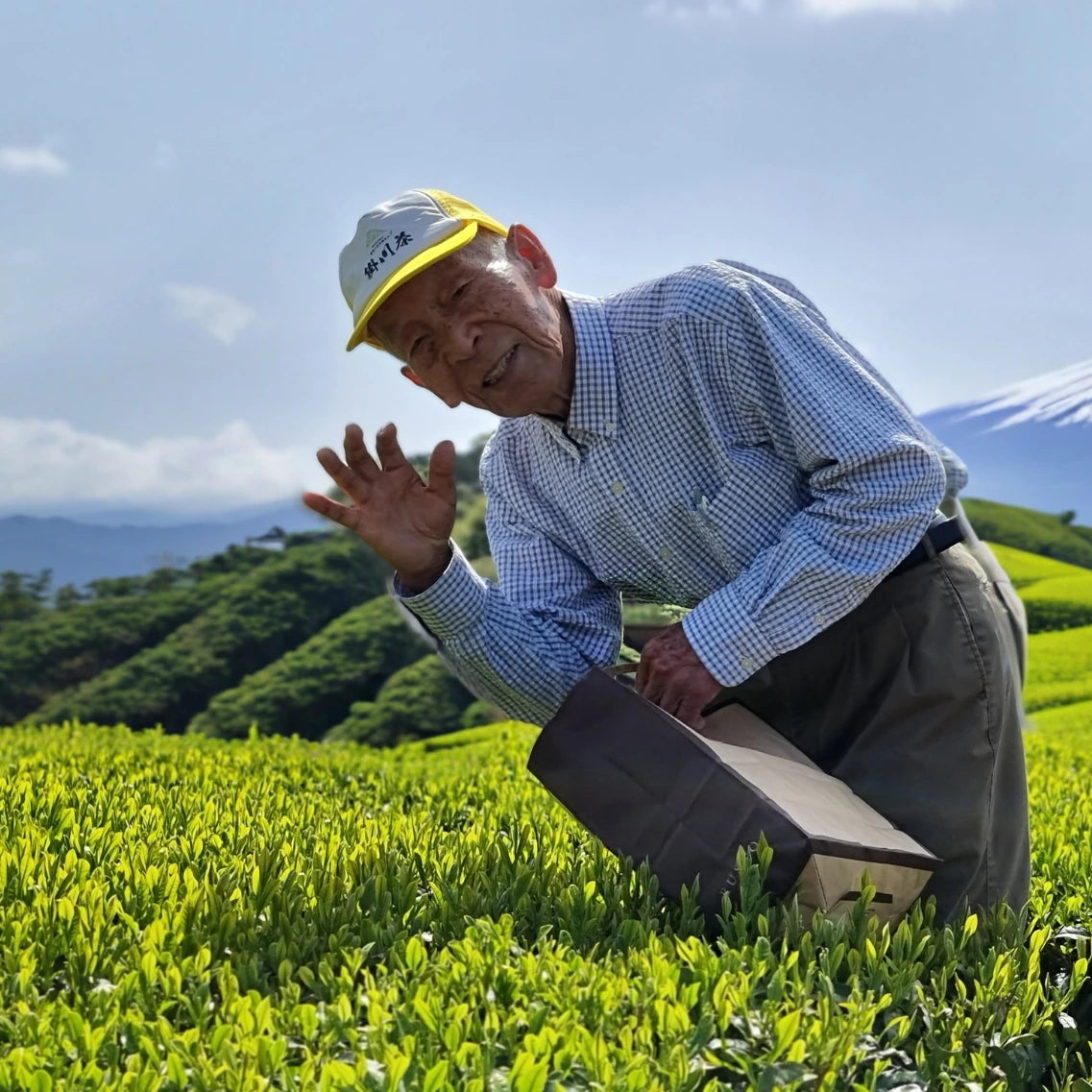 Japanischer Mann winkend auf Matcha Feld 