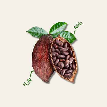 Spermidin Forte - Kakao Flavanol