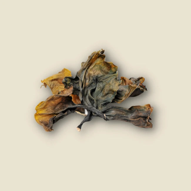 Jod Forte - Bio Kelp