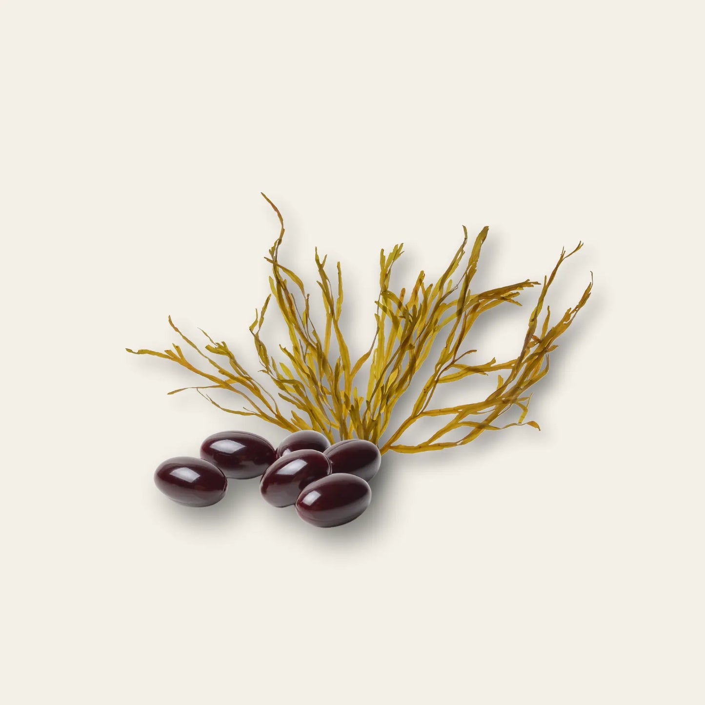 Astaxanthin Liquid