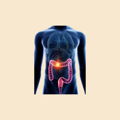 Microbiom 54
