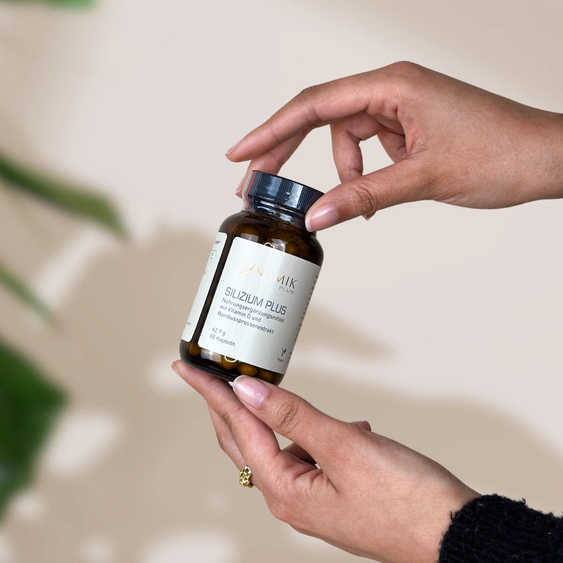 Silizium Plus