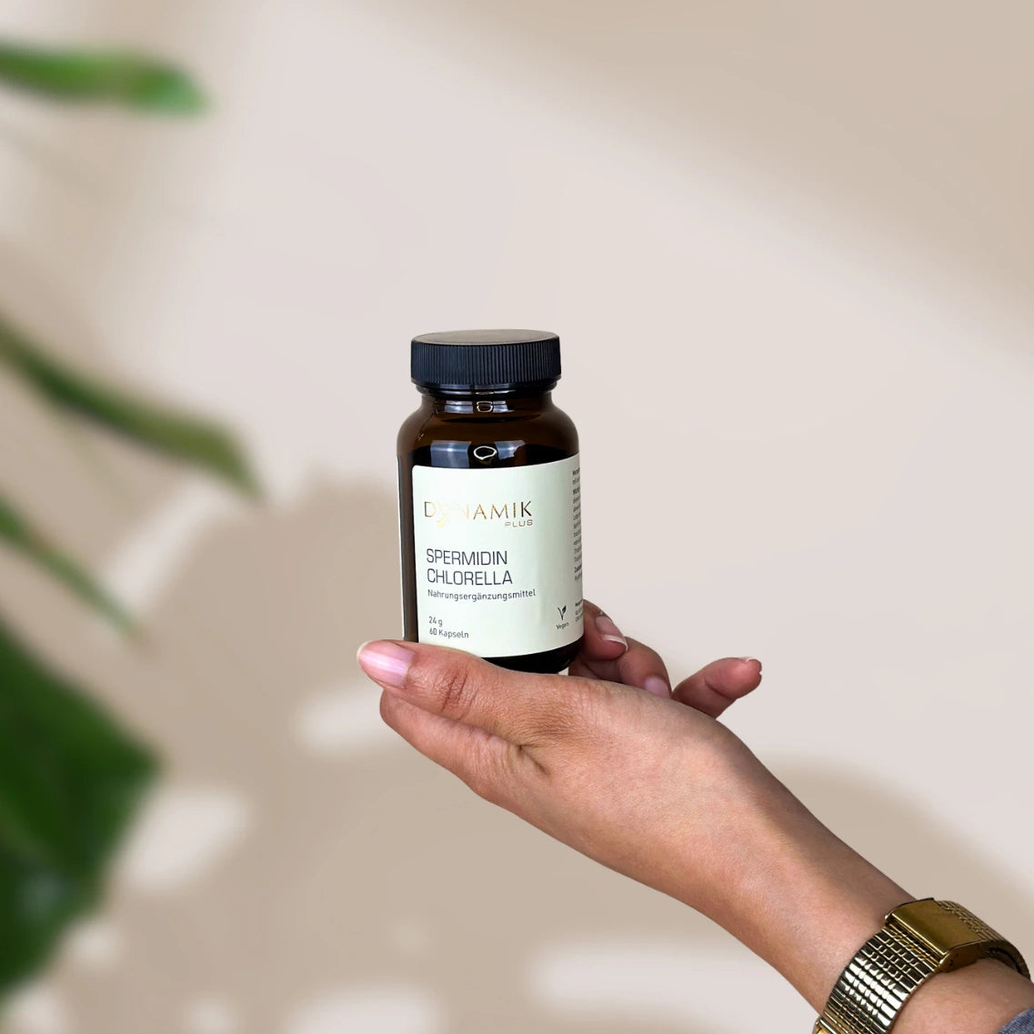 Spermidin Chlorella