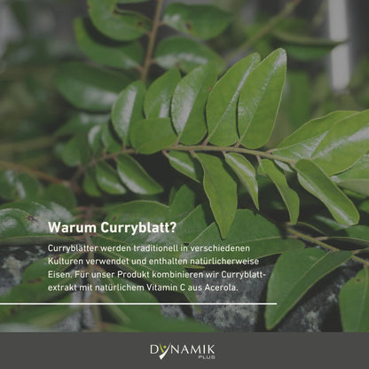 Curryblatt Eisen