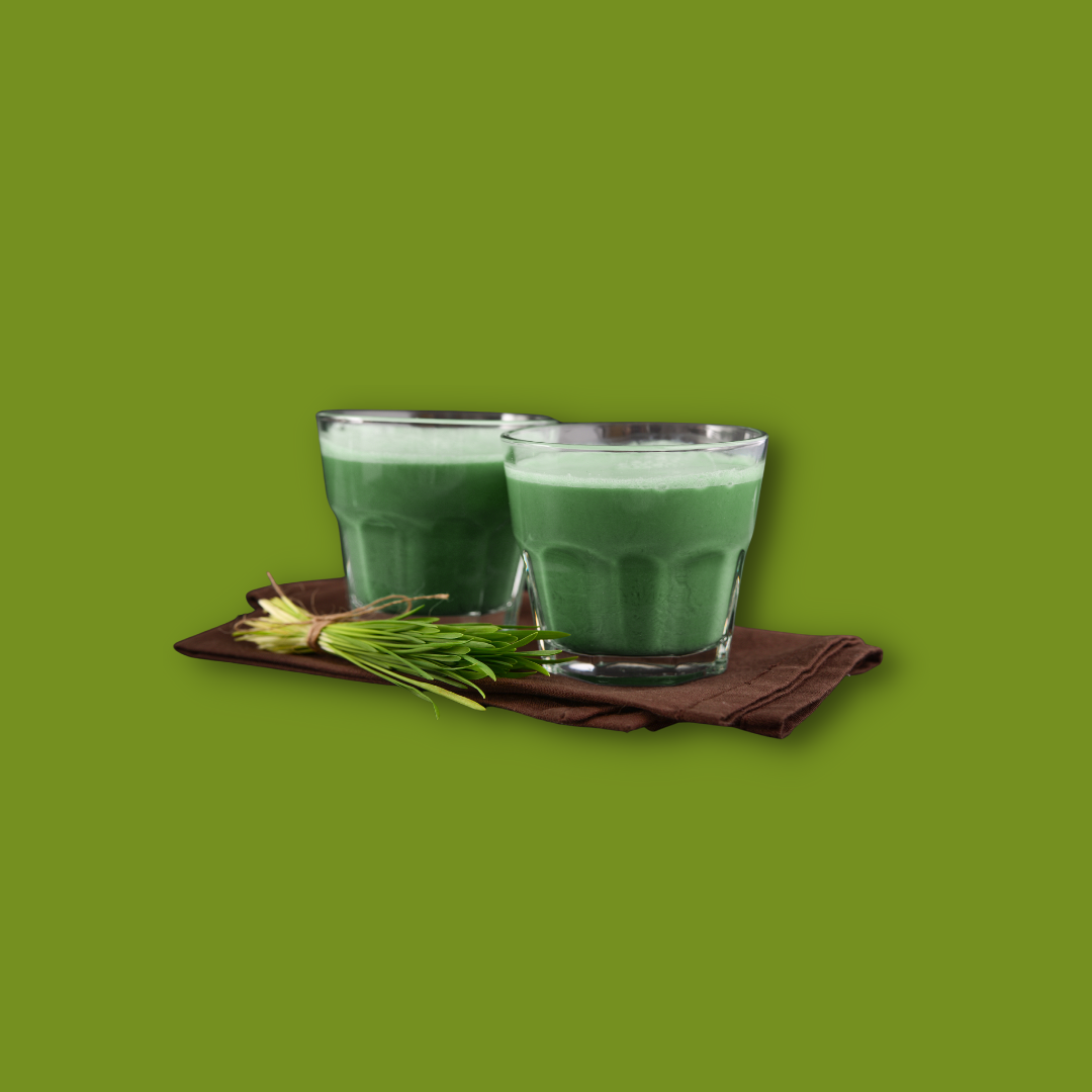 BIO GERSTENGRASSAFT PULVER
