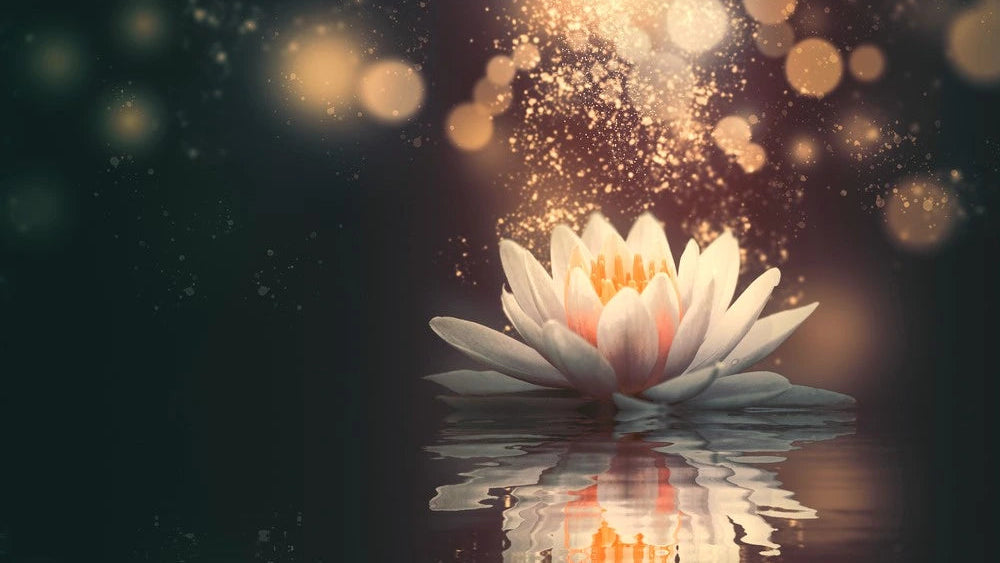 Seerose_Glitzer_Magie_Heilung_Reinheit