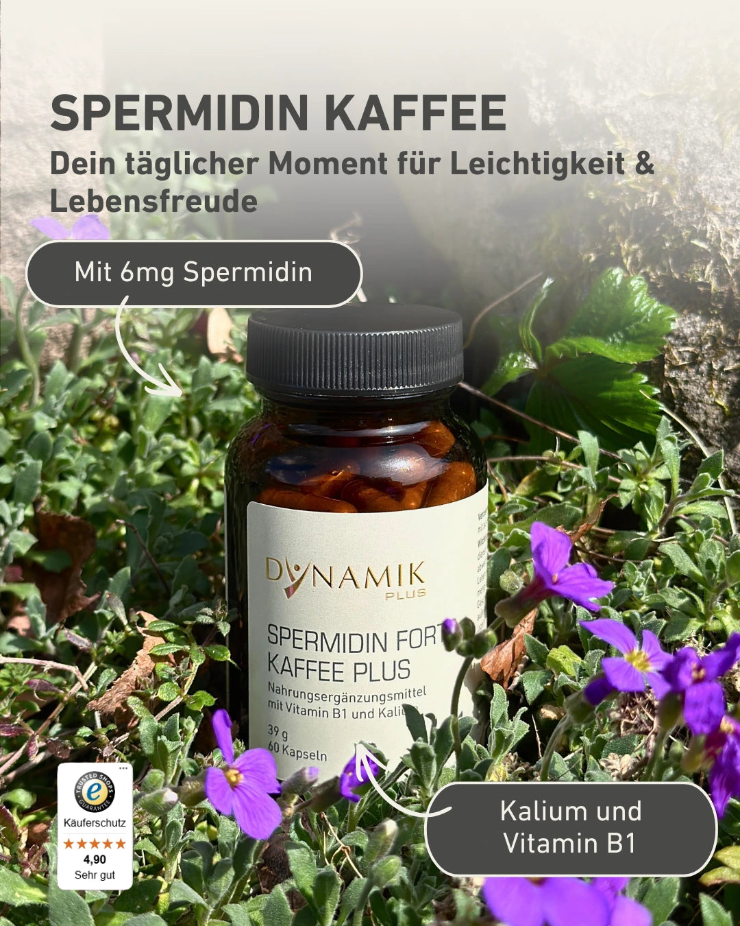DYNAMIKPLUS Spermidin Forte Kaffee Plus mit Eigenschaften in Beet 